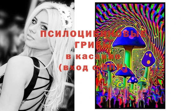 хмурый Кодинск