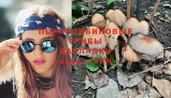 хмурый Кодинск
