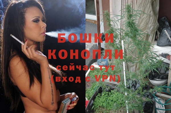 хмурый Кодинск