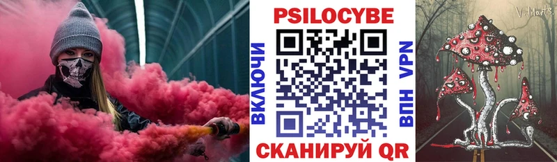 Купить закладки  Великий Устюг  Галлюциногенные грибы мицелий 